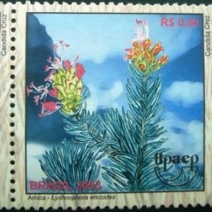 Selo postal do Brasil de 2003 Arnica M