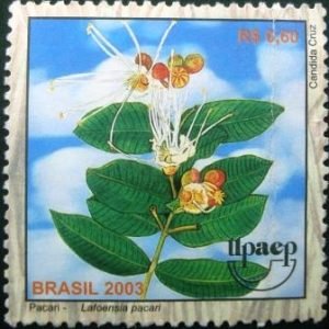 Selo postal do Brasil de 2003 Pacari M