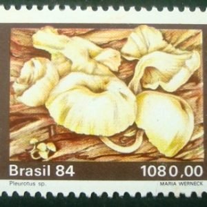 Selo postal COMEMORATIVO do Brasil de 1984 - C 1420 N