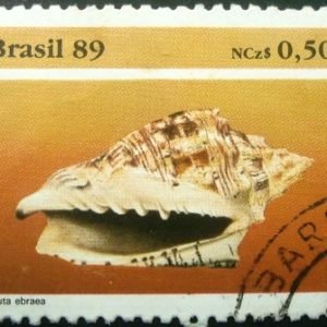 Selo postal COMEMORATIVO do Brasil de 1989 - C 1645 U