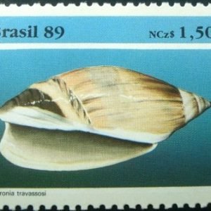 Selo postal COMEMORATIVO do Brasil de 1989 - C 1647 M