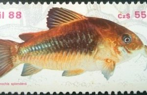 Selo postal do Brasil de 1988 Limpatudo