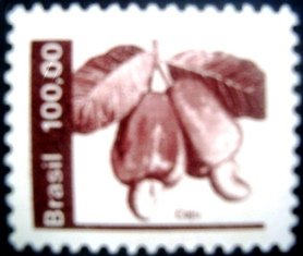 Selo postal do Brasil de 1981 Caju M