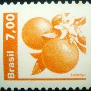 Selo postal do Brasil de 1981 Laranja - 606 N