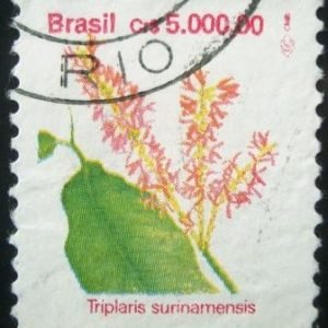 Selo postal do Brasil de 1992 Formigueira