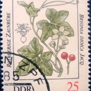 Selo postal da Alemanha de 1982 - DD 2694 NCC