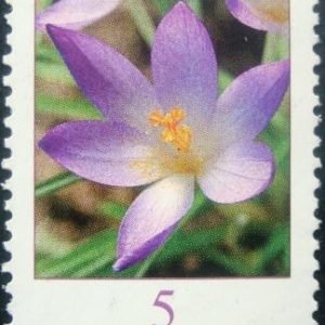 Selo postal da Alemanha de 2005 Crocus tommasinianus - 2307 U