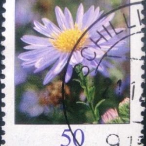 Selo postal da Alemanha de 2005 Aster novae