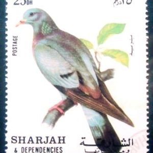 Selo postal de Sharjah 1972 Stock Dove