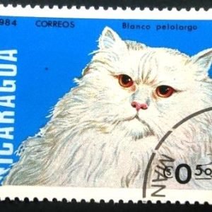 Selo postal da Nicaragua de 1984 White Longhair