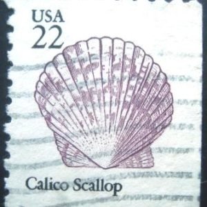 Selo postal dos Estados Unidos de 1985 Calico Scallop Dr