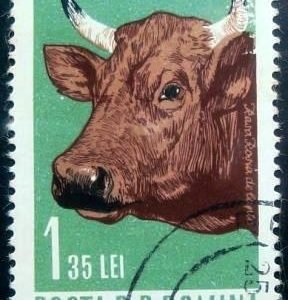 Selo postal da Romênia de 1962 Female Cattle