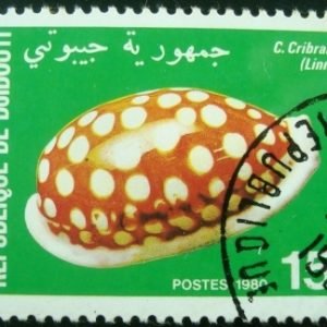 Selo postal de Djibouti de 1980 Sieve/Tan and White Cowry