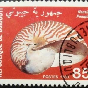 Selo postal de Djiubouti de 1980 Chambered Nautilus