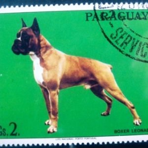 Selo postal do Paraguai de 1986 German Boxer