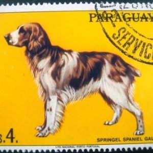 Selo postal do Paraguai de 1986 Cocker-Spaniel