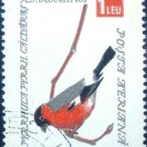 Selo postal da Romênia de 1959 Eurasian Bullfinch