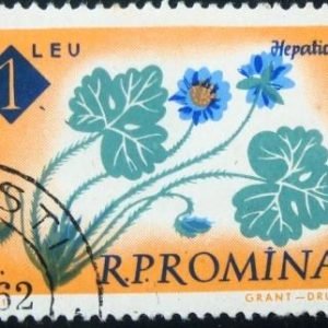 Selo postal da Romênia de 1961 Hepatica angulosa