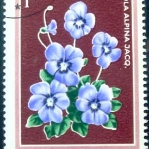 Selo postal da Romênia de 1979 Alpine Violet