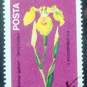 Selo postal da Romênia de 1984 Iris Pseudacorus