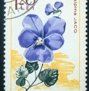 Selo postal da Romênia de 1967 Violet