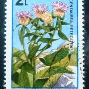 Selo postal da Romênia de 1985 Centaurea retezatensis