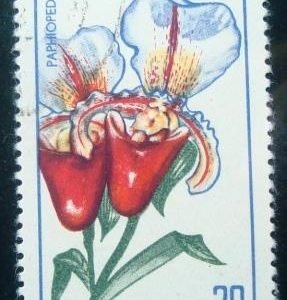 Selo postal da Romênia de 1965 Paphiopedilum insigne