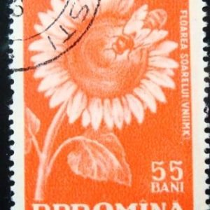 Selo postal da Romênia de 1959 Sunflower