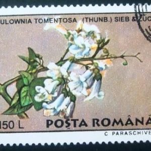 Selo postal da Romênia de 1995 Paulownia tomentosa