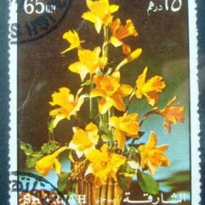 Selo postal do Sharjah de 1972 Daffodils