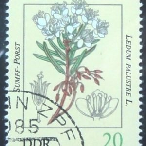 selo postal da Alemanha de 1990 Ledum palustre