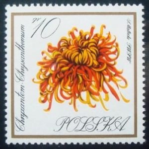 Selo postal da Polônia de 1966 Chrysanthemum
