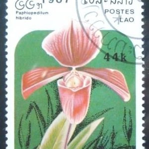 Selo postal do Laos de 1987 Sobralia spec.