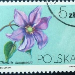 Selo postal da Polônia de 1984 Clematis lanuginosa