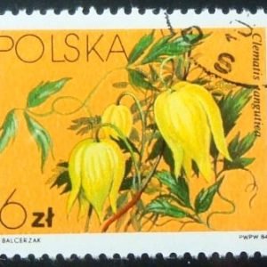 Selo postal da Polônia de 1984 Clematis tangutica