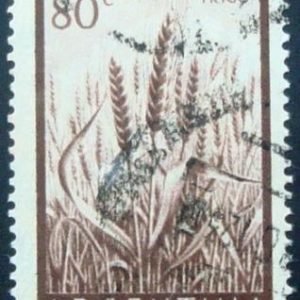 Selo postal da Argentina de 1955 Wheat