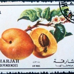 Selo postal de Sharjah de 1972 Peach