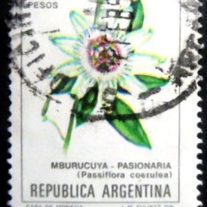 Selo postal da Argentina de 1982 Passiflora coerules