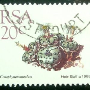 Selo postal da África do Sul de 1988 Conophytum mundum