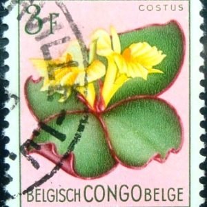 Selo postal do Congo Belga de 1952 Costus spectabilis