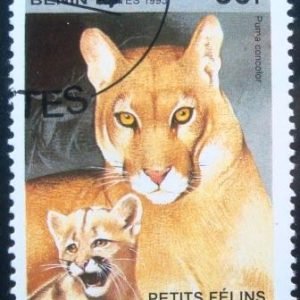 Selo postal do Benin de 1995 Cougar