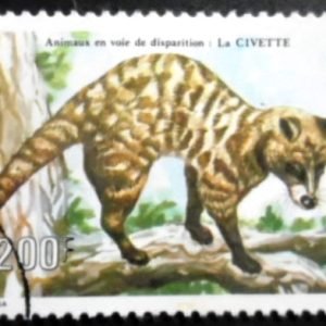 Selo postal de Camarões de 1983 African Civet