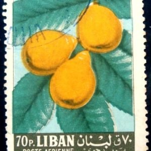 Selo postal do Líbano de 1962 Medlar