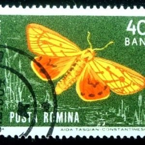 Selo postal da Romênia de 1964 Marsh Tiger