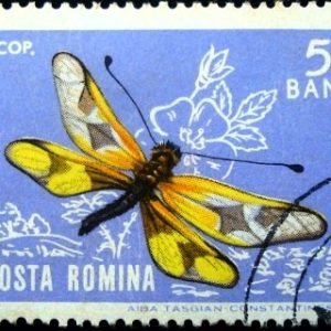 Selo postal da Romênia de 1964 Greek Owl Moth