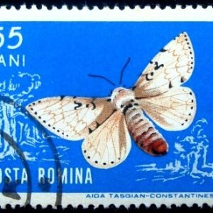 Selo postal da Romênia de 1964 Gypsy Moth