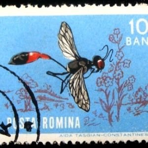 Selo postal da Romênia de 1964 Red-banded Sand Wasp