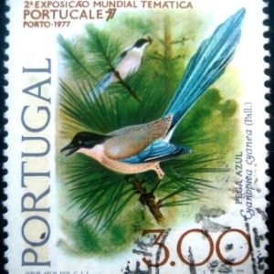 Selo postal de Portugal de 1976 Azure-winged Magpie