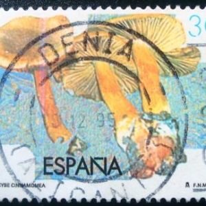 Selo postal da Espanha de 1995 Cinnamon Webcap Mushroom