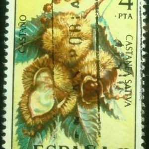 Selo postal da Espanha de 1975 Castanea sativa